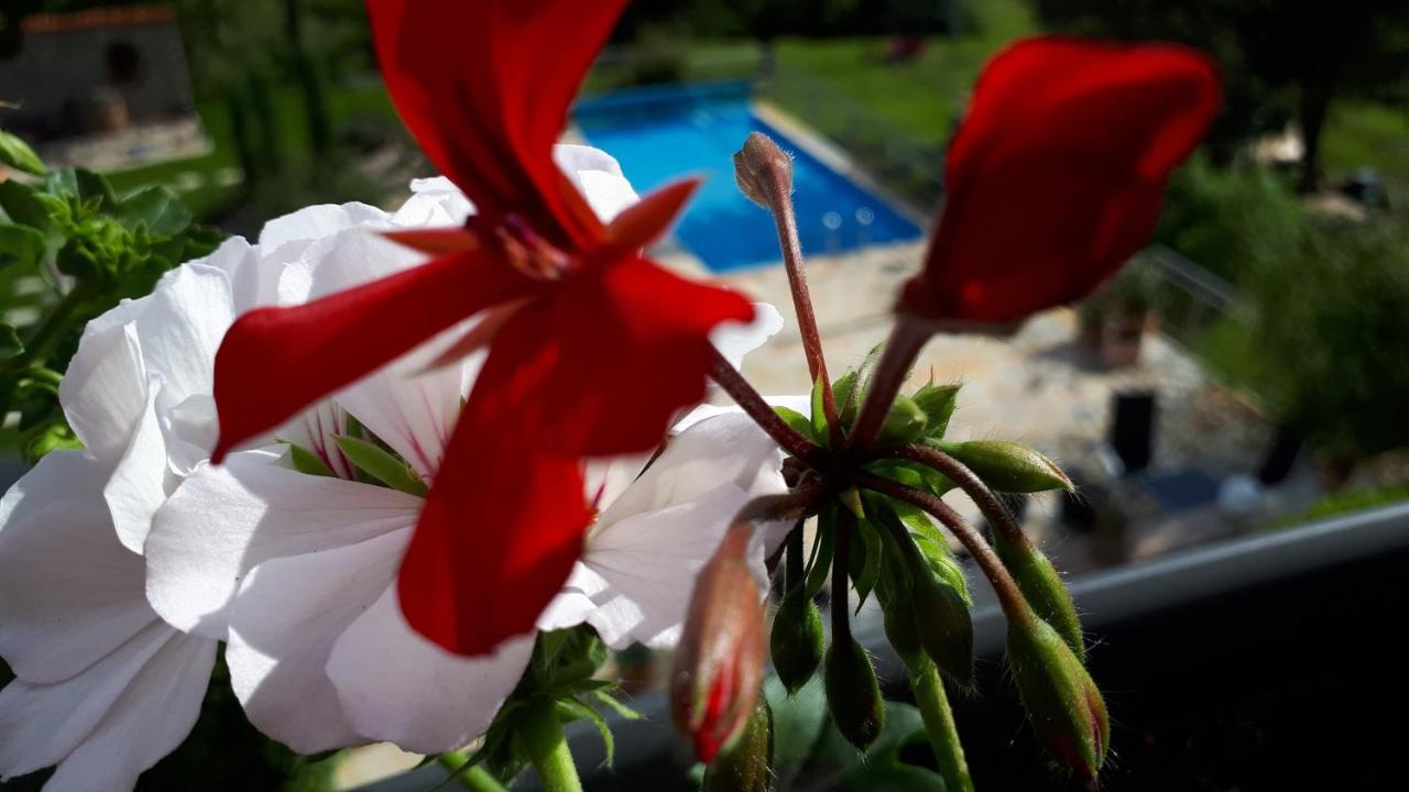 Pension Am Weinberg Bed & Breakfast Mainstockheim Buitenkant foto