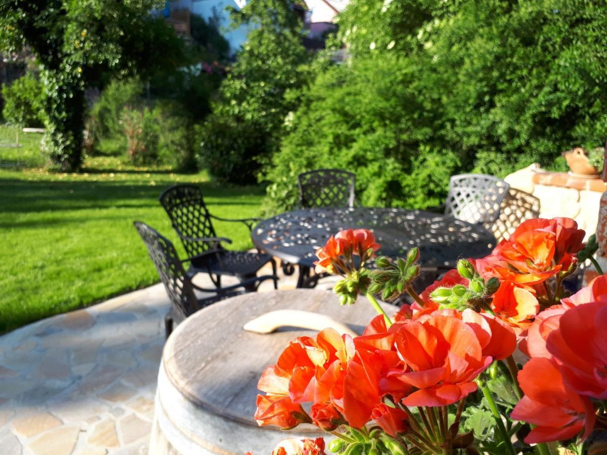 Pension Am Weinberg Bed & Breakfast Mainstockheim Buitenkant foto