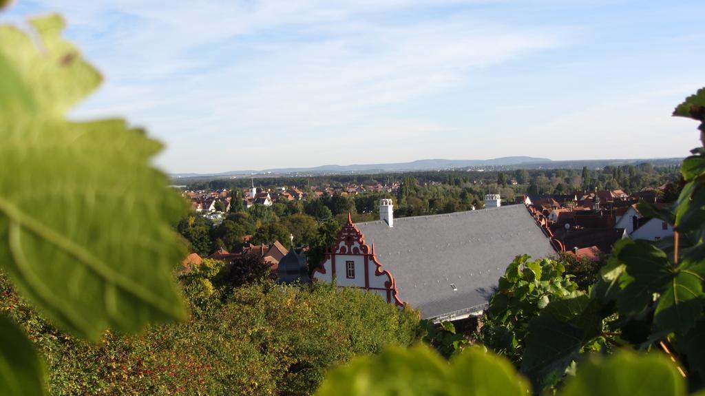 Pension Am Weinberg Bed & Breakfast Mainstockheim Buitenkant foto
